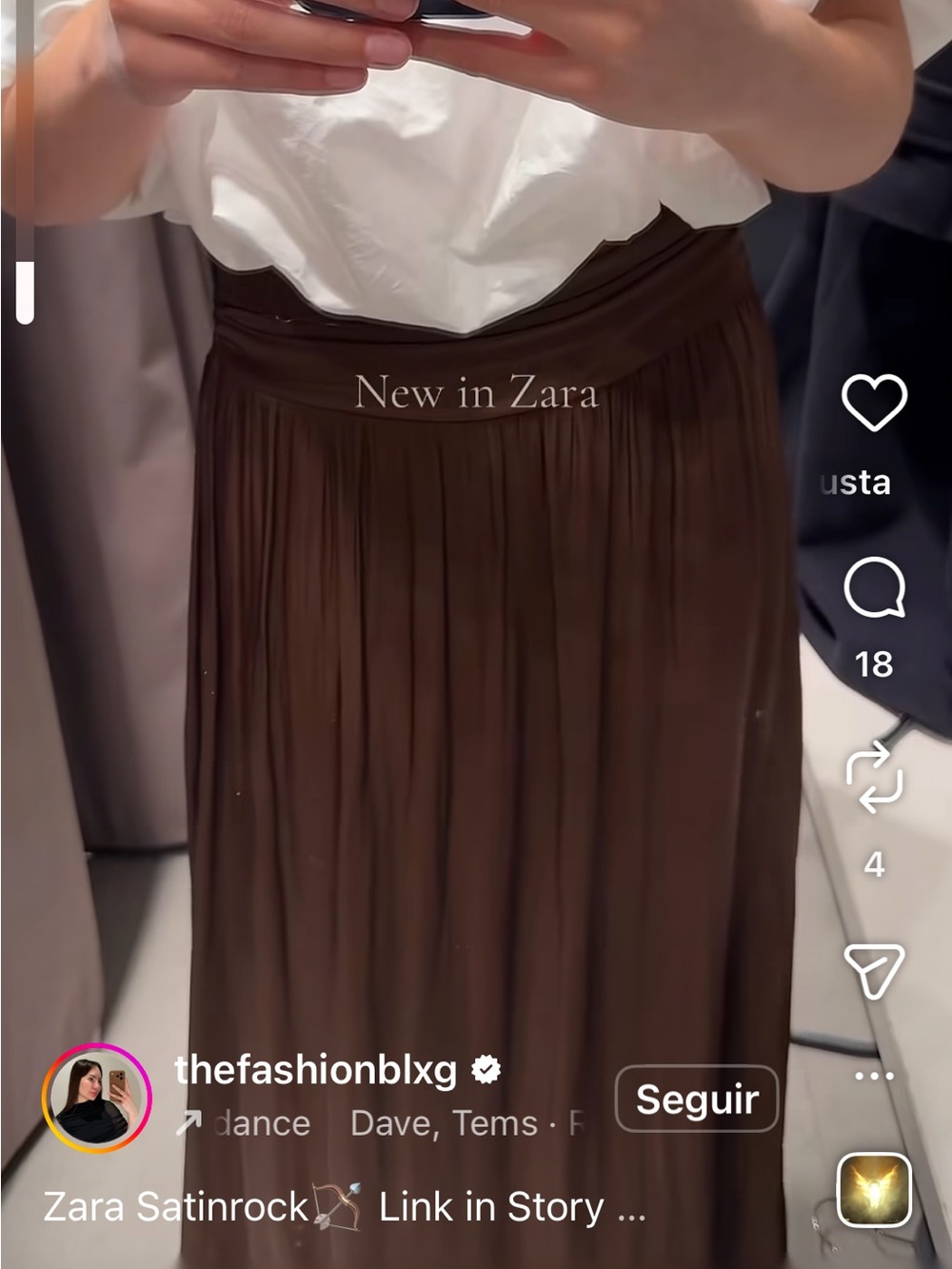 Zara Brown Pleated Maxi Skirt - Picture 3 of 3
